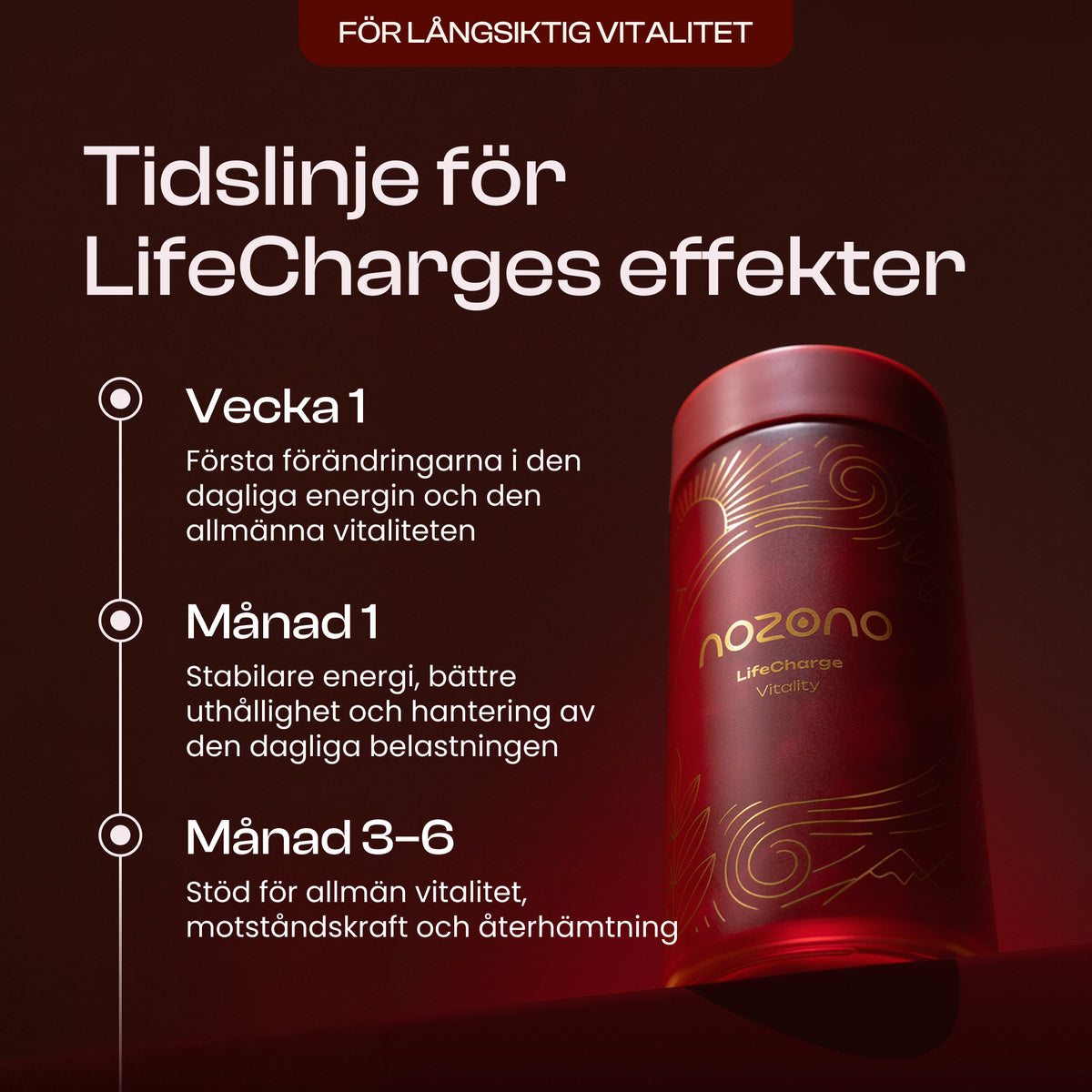 LifeCharge