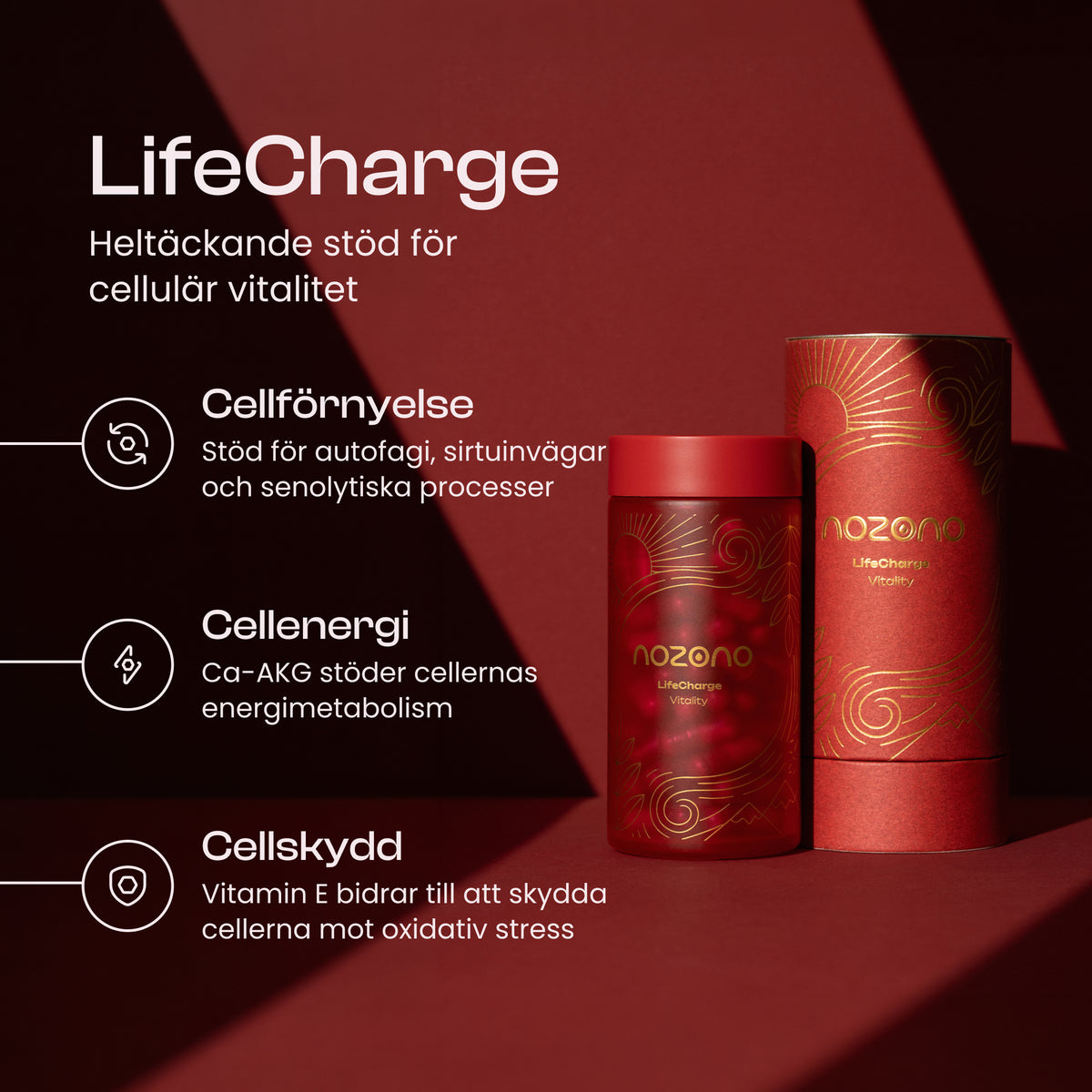 LifeCharge