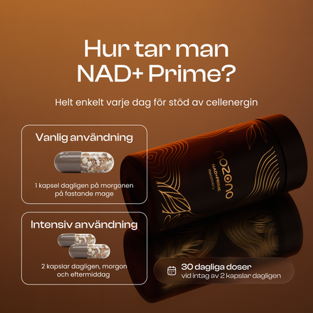 NAD+ Prime