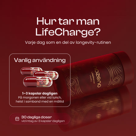 LifeCharge