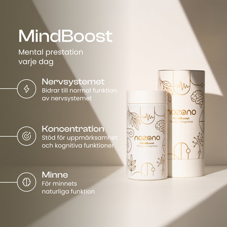 MindBoost