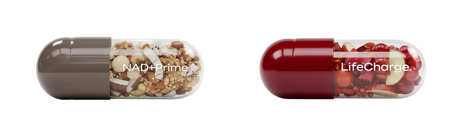 Genome Renewal Duo